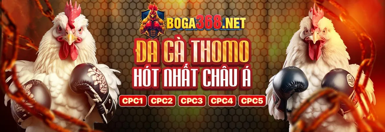 Các lợi ích khi sử dụng ứng dụng Macauclub