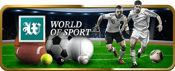 Quy trình giải quyết tranh chấp Macauclub